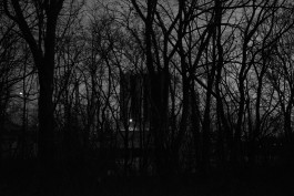 VIOLA EPLER fotografie