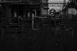 VIOLA EPLER fotografie