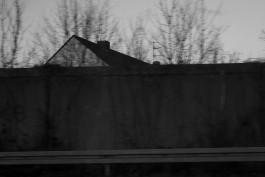 VIOLA EPLER fotografie