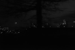 VIOLA EPLER fotografie