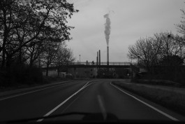 VIOLA EPLER fotografie