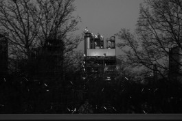 VIOLA EPLER fotografie