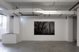 VIOLA EPLER fotografie