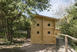 VIOLA EPLER fotografie