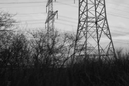 VIOLA EPLER fotografie