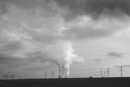 VIOLA EPLER fotografie