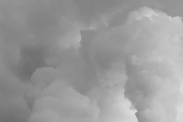 VIOLA EPLER fotografie