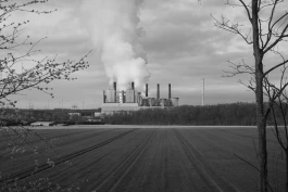 VIOLA EPLER fotografie