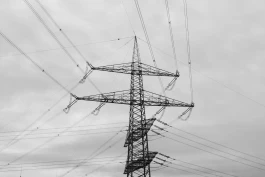 VIOLA EPLER fotografie