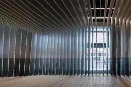 VIOLA EPLER fotografie