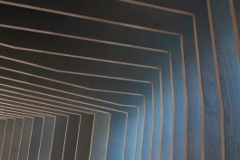 VIOLA EPLER fotografie