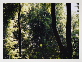 VIOLA EPLER fotografie