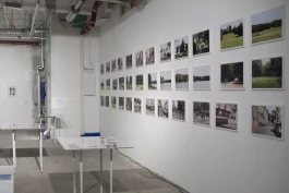 VIOLA EPLER fotografie